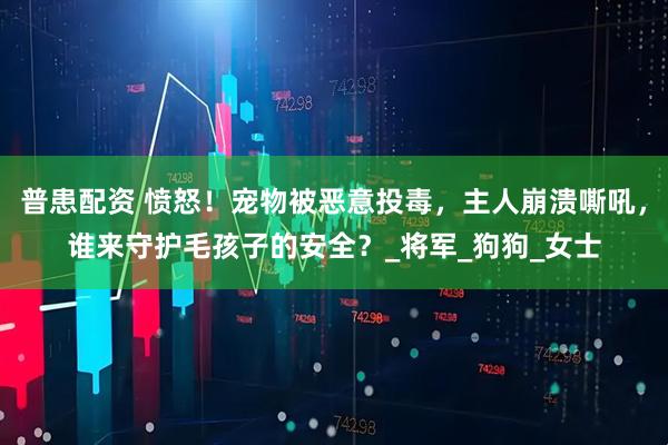 普患配资 愤怒！宠物被恶意投毒，主人崩溃嘶吼，谁来守护毛孩子的安全？_将军_狗狗_女士