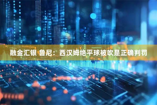 融金汇银 鲁尼：西汉姆绝平球被吹是正确判罚